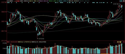 中孚信息引領(lǐng)漲停潮 中國(guó)軟件板塊走強(qiáng)背后的邏輯與機(jī)遇